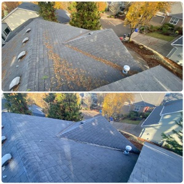 Before and after roof cleaning showing removal of leaves and debris.
