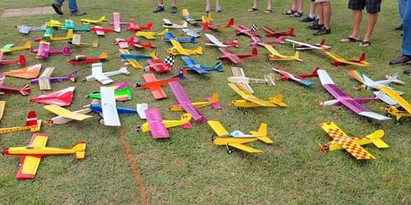 Group of WillyNilly RC planes