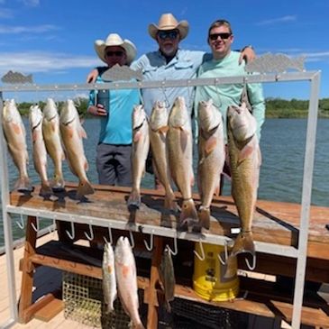 Redfish and trout