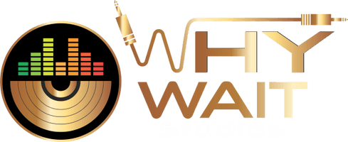 whywaitstudios.net