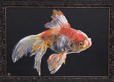 Goldfish by Jonny Arnold