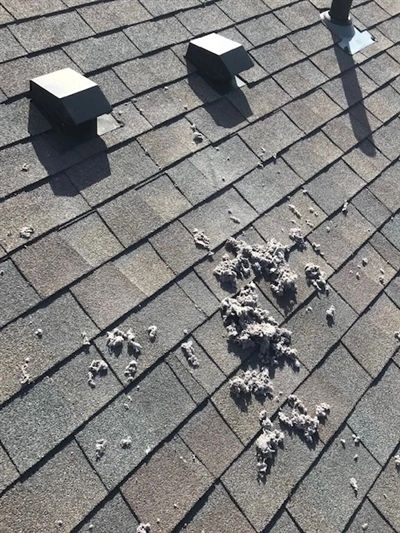 Restoration RX Sioux Falls roofing project 10