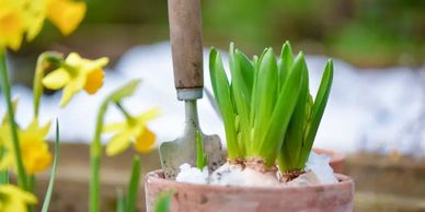 Winter lawn treatments, one of 7 steps to a beautiful lawn