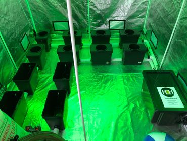 Custom Modular RDWC hydroponic system to fit 2.4mX2.4m tent