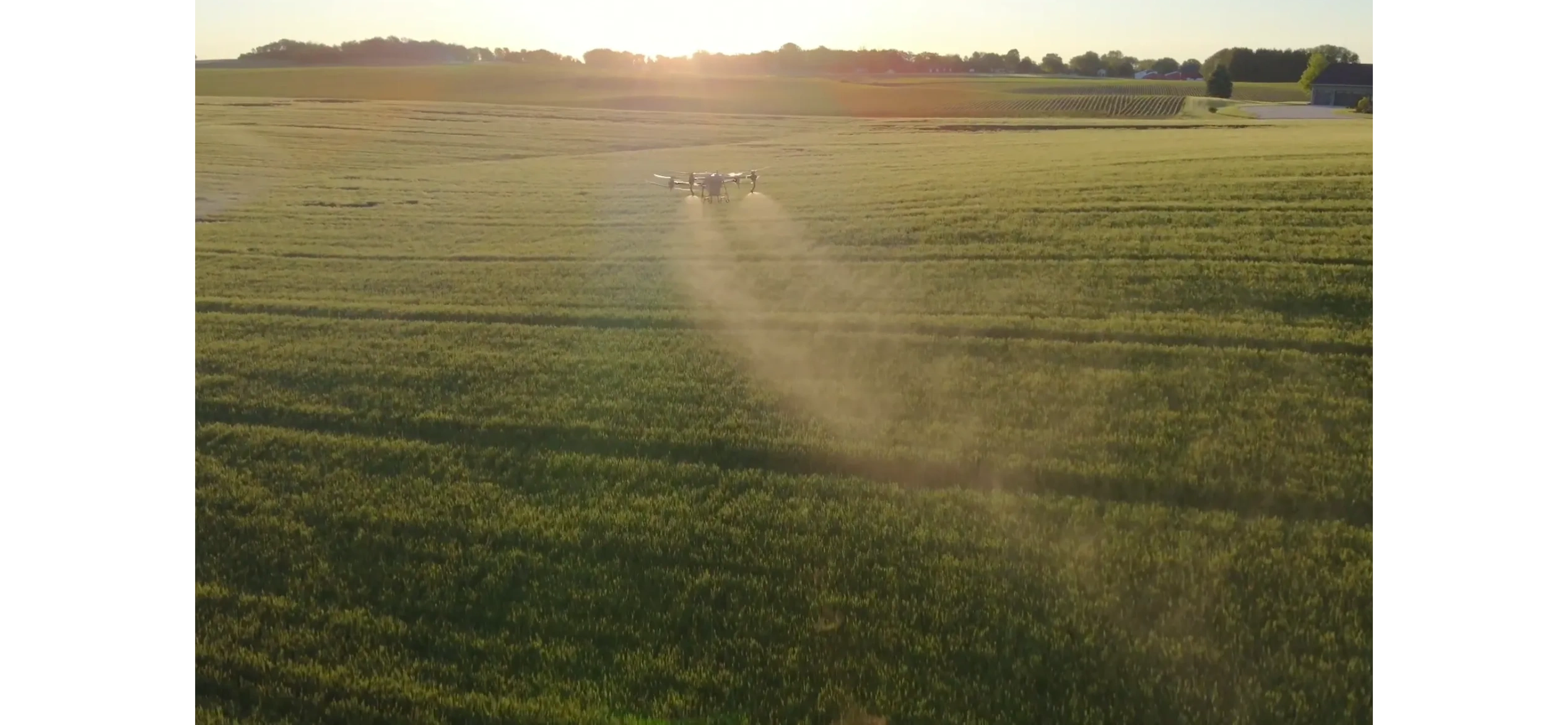Drone spraying micronutrients and fungicide on wheat