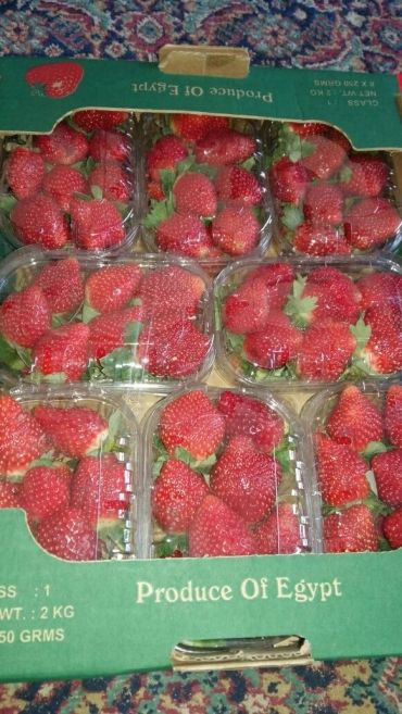Fresh strawberries packed in plastic containers labeled Produce of Egypt.