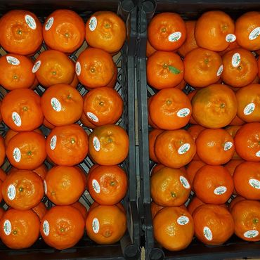 Fresh oranges with stickers neatly arranged in crates.