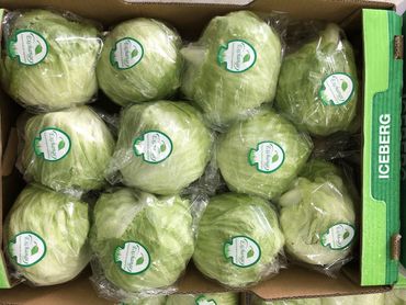 Box of packaged iceberg lettuce heads.