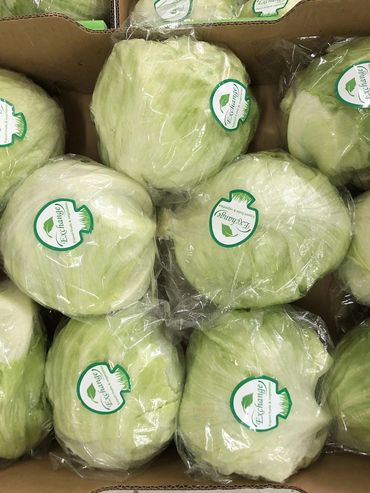 Fresh iceberg lettuces individually wrapped with Exchange labels in a box.