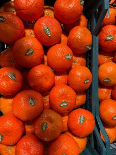 Bright orange mandarins with green stickers in blue crates.