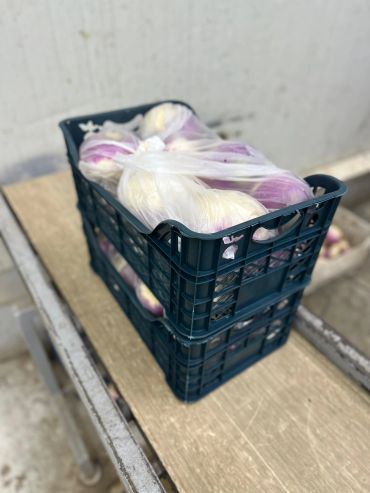 Stacked crates filled with garlic bulbs in plastic bags on a wooden surface.
