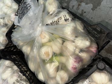 Bags filled with fresh garlic bulbs in a crate.