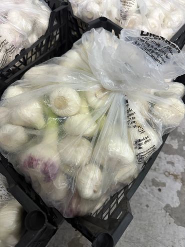 Plastic bags filled with fresh garlic bulbs in crates.