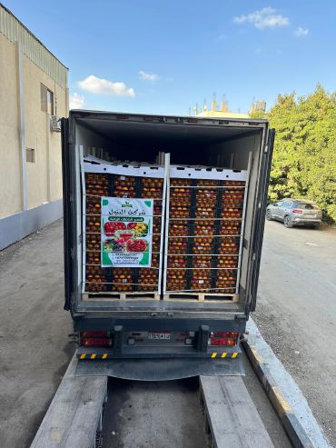 Truck loaded with crates of fresh fruits under clear blue sky.