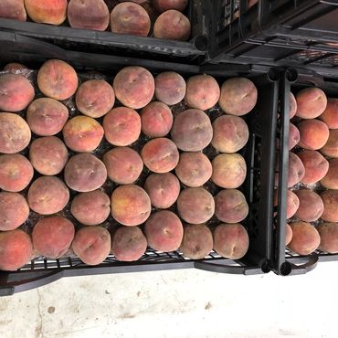 Crates filled with fresh peaches neatly arranged.