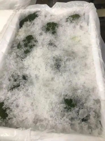 Green vegetables covered with crushed ice in a white container.