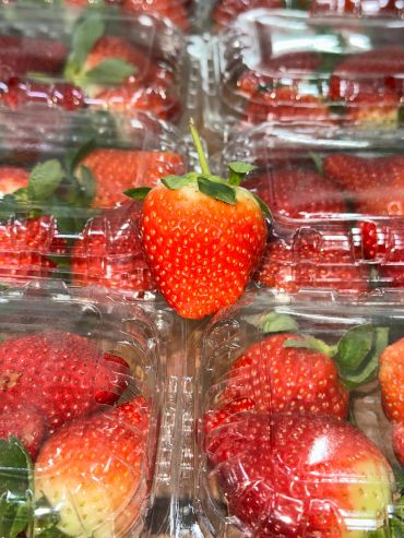 Fresh strawberries packed in transparent plastic containers.