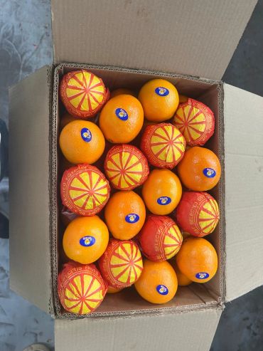 A box filled with fresh oranges, some wrapped in red and yellow paper.
