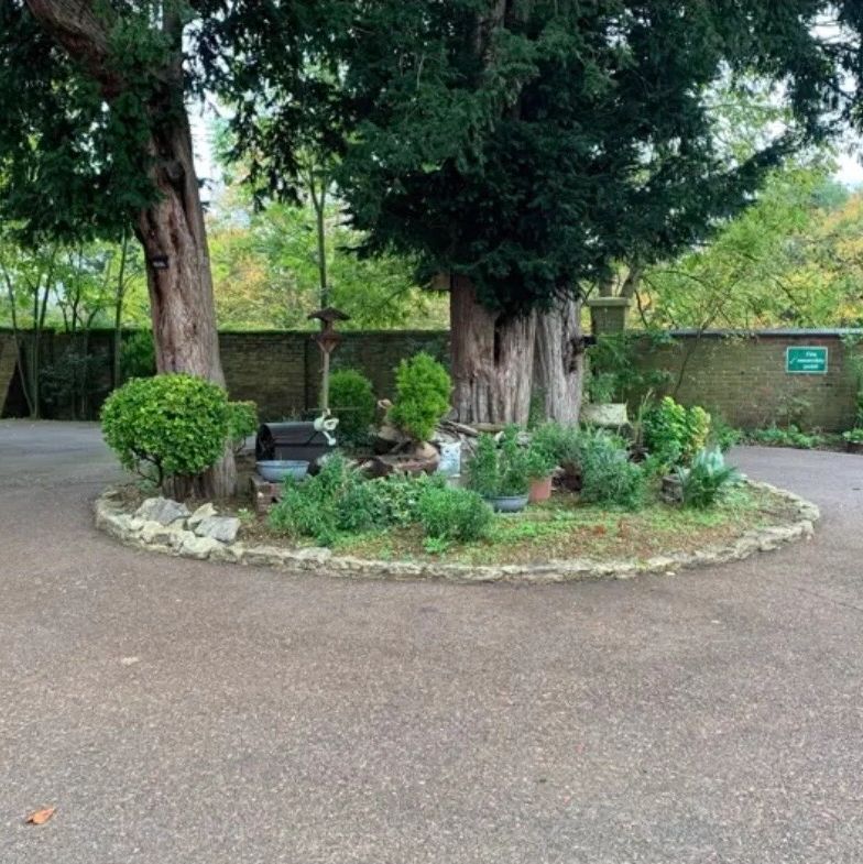 Circular garden with trees and plants surrounded by a stone border.