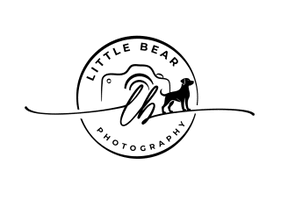 little bear photography