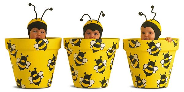 busy-as-a-bee-daycare-daycare-home-daycare-daycare-childcare