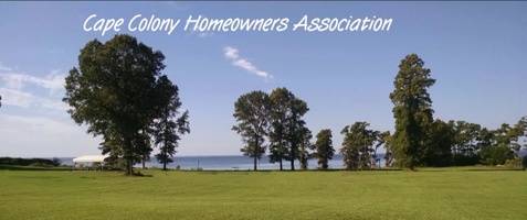 CAPE COLONY 
Home Ownership Association 
Chowan County, North Car