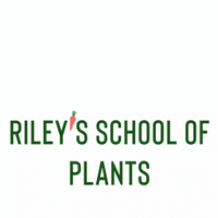 Rileys School of Plants