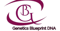 Genetics Blueprint DNA 