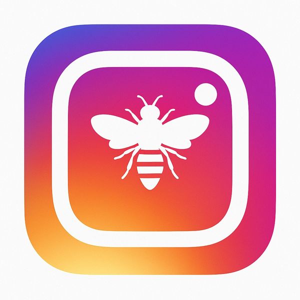 Instagram page for White Bee Honey Co