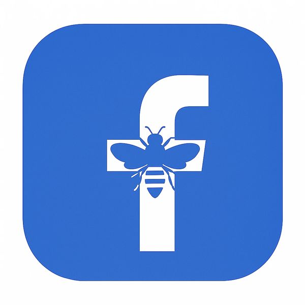 White Bee Honey Co Facebook page