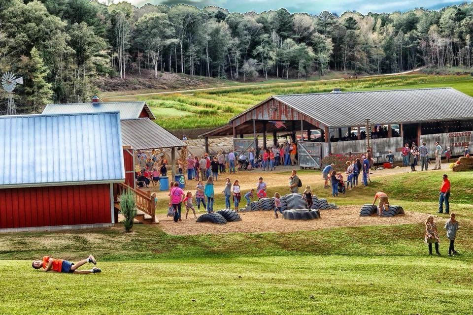 Bennett Farms photo 12