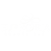 Euphoria