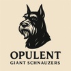 Opulent Giant Schnauzers
