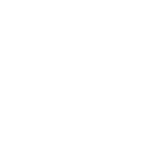 AI Guy