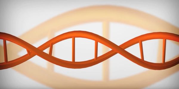 FILM | The Adam Projects