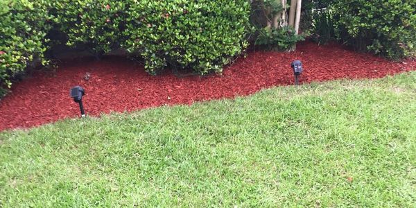 Flower bed maintenance 