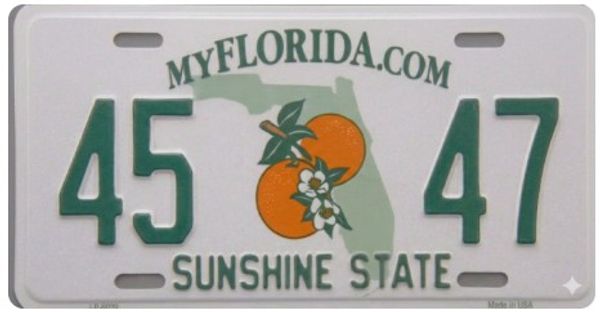 Florida license plate featuring oranges and state outline.
