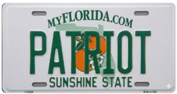 Florida license plate with the word PATRIOT and an orange graphic.