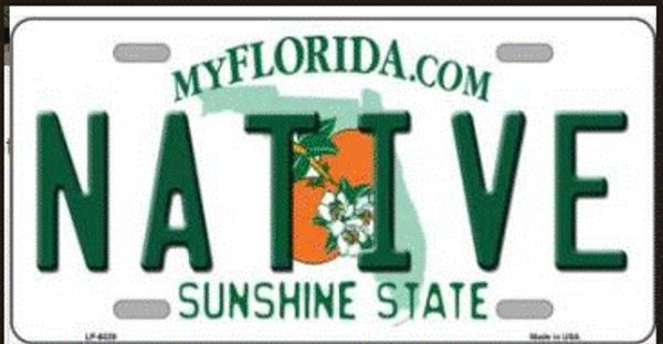 Florida license plate with 'NATIVE' and orange flower design.