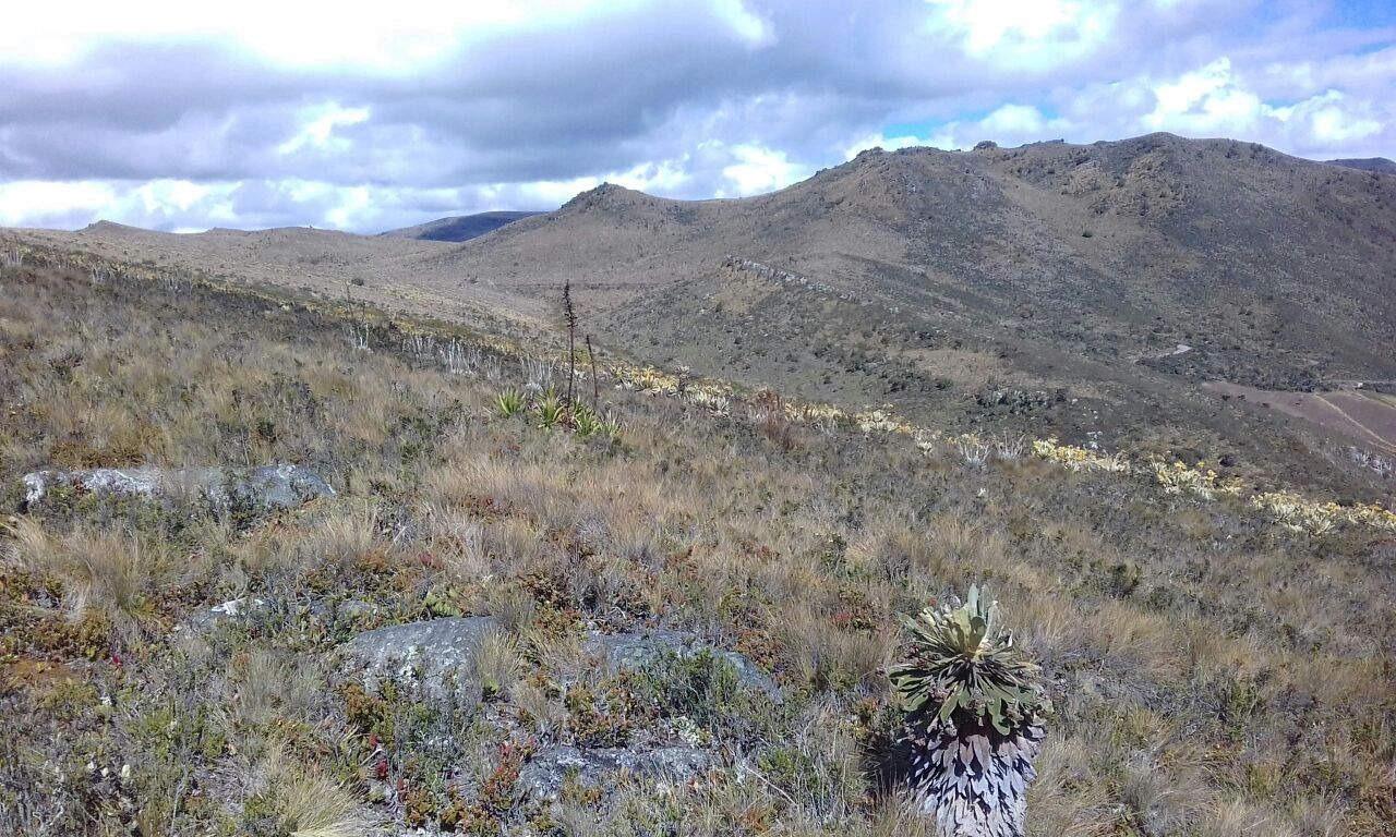 En el Páramo de Guerrero se inicia nuestro proyecto "Yagual"