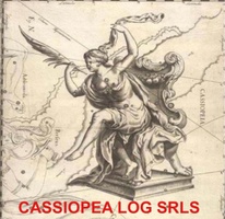 cassiopealogisticasrls.com