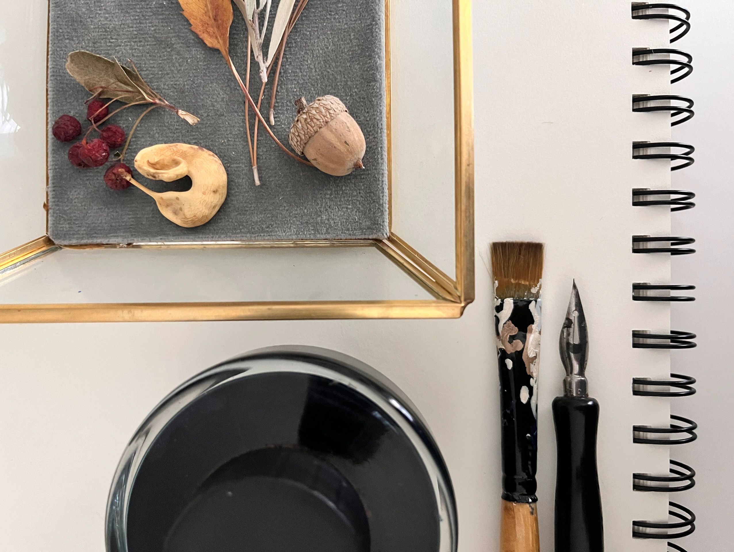 Artfully displayed sketchbook, quill, paintbrush, ink, and glass container of seeds and leaves.