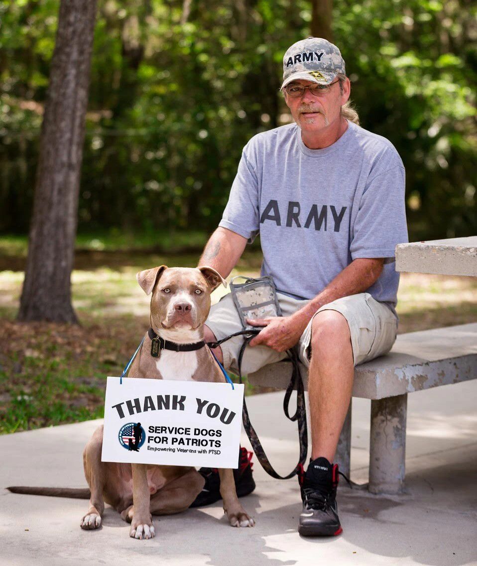 Rescued dog pit bull from Humane Society of North Central Florida trained by Army veteran to be his 