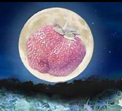 A giant strawberry with a butterfly in front of a full moon at night.