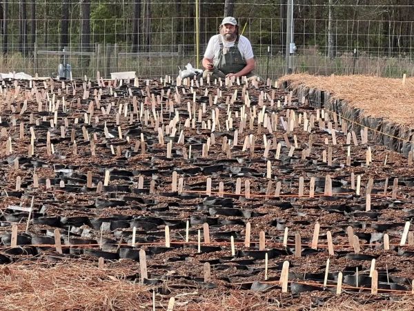 Man working in a large garden with many labeled seed pots.