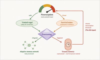 Diagram of neuroception and its link to survival, trauma memory, and adaptive memory.
