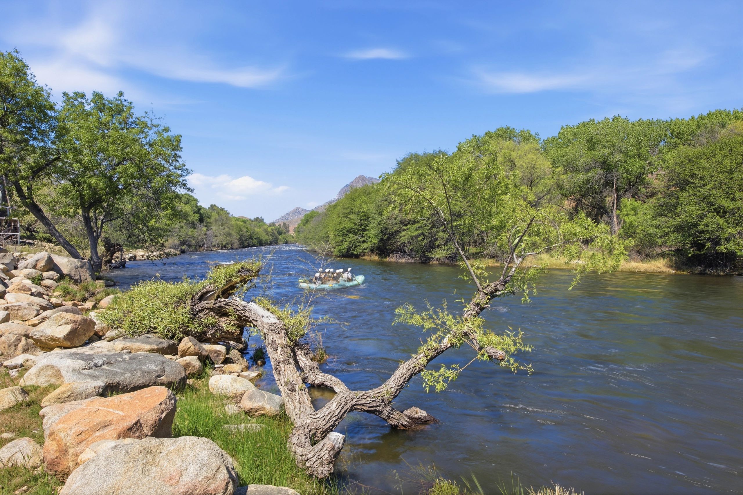 A river with lush greenery and a raft of people floating downstream.