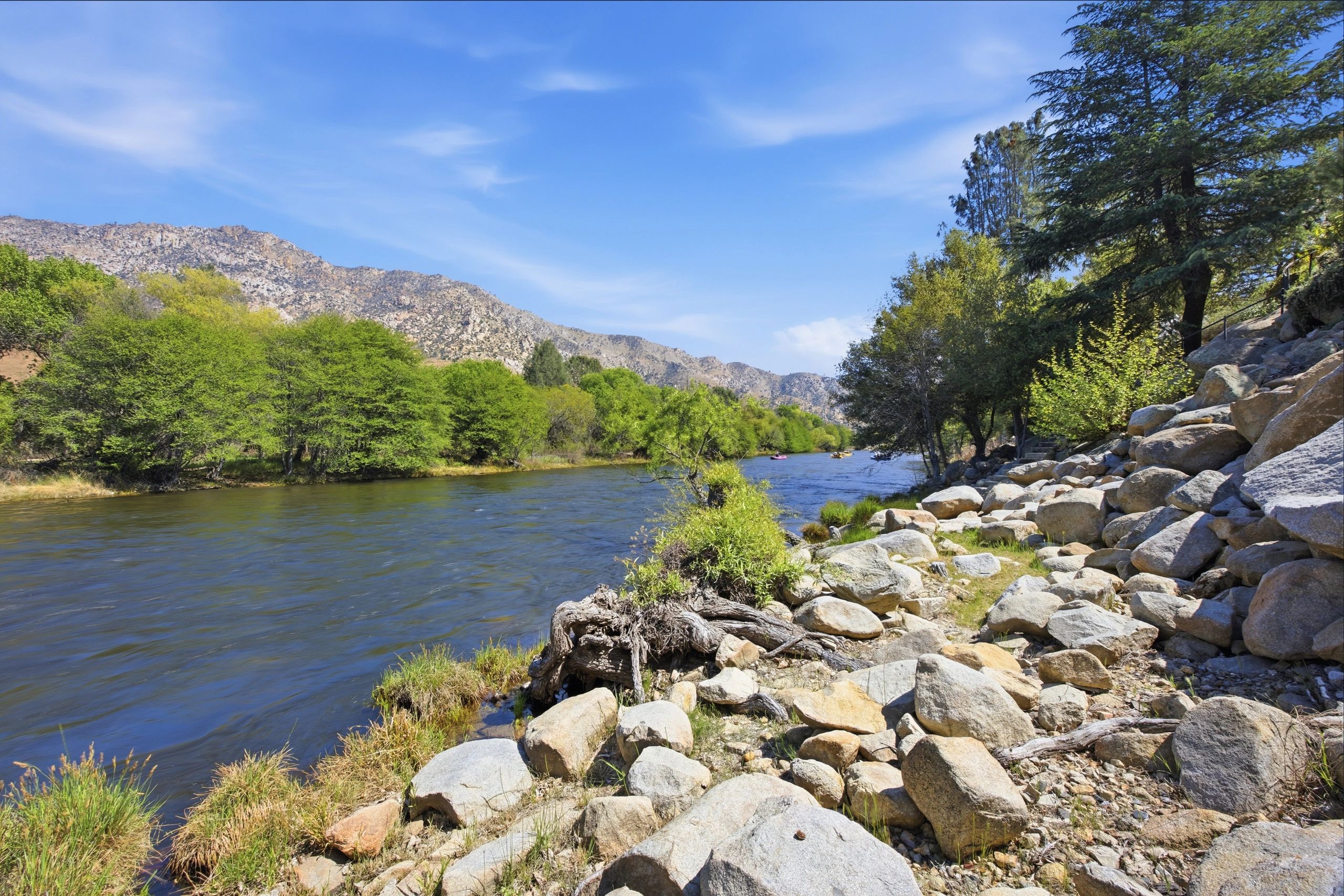 A rocky riverbank with trees and mountains under a clear blue sky.