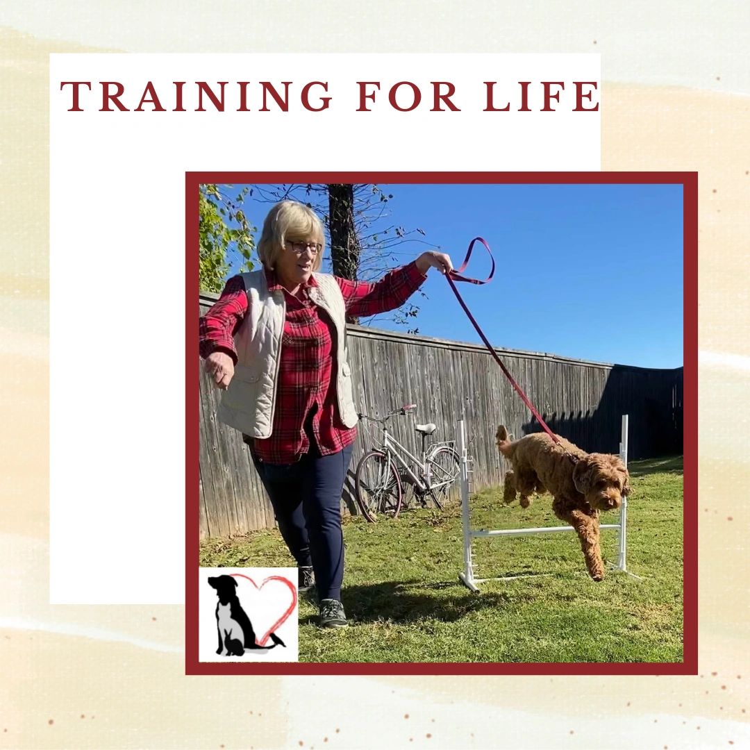 Training for Life