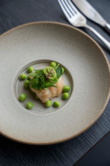 Elegant dish with scallops, green peas, and fresh herbs on a rustic plate.